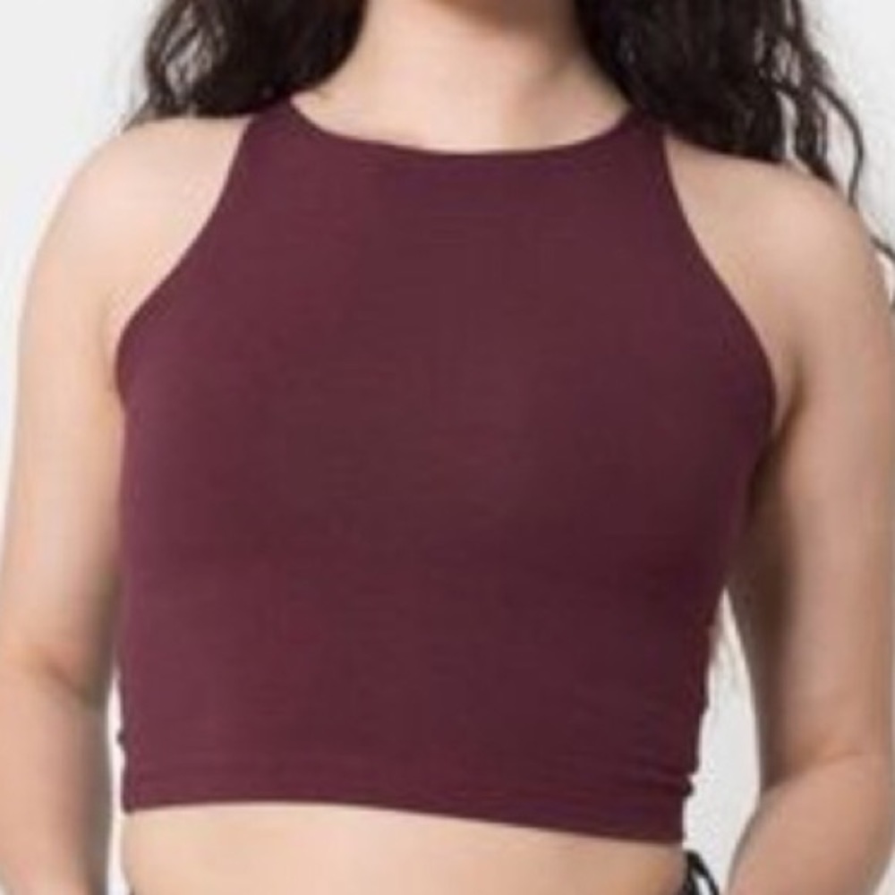 America Apparel Burgundy Crop Top
